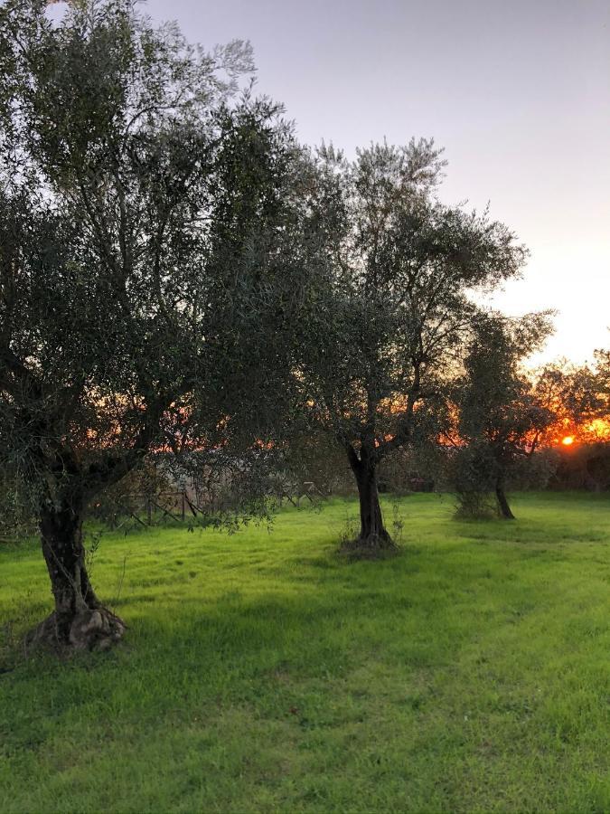 La Casa D'Ambra Villa Torre A Castello Kültér fotó