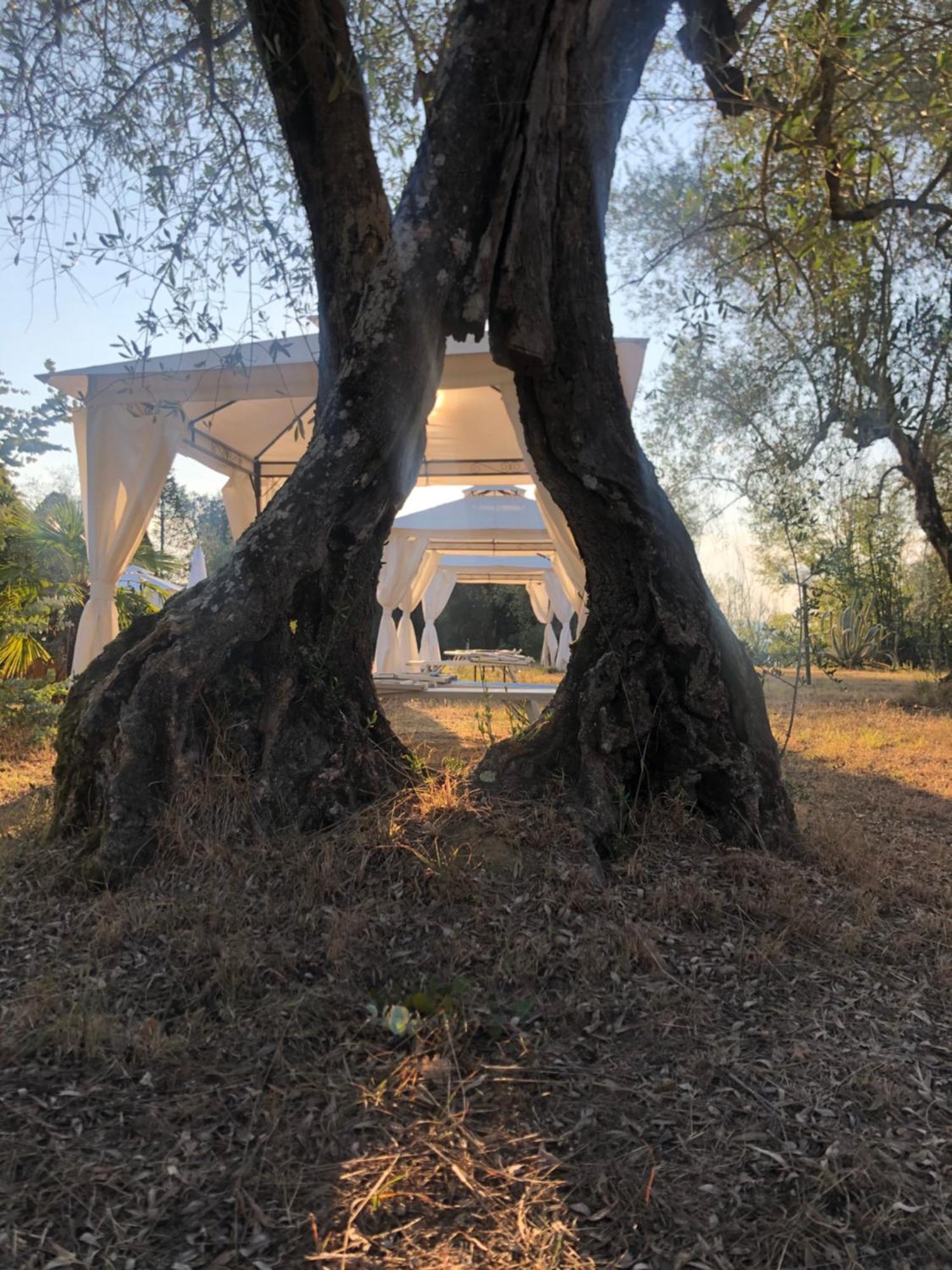 La Casa D'Ambra Villa Torre A Castello Kültér fotó