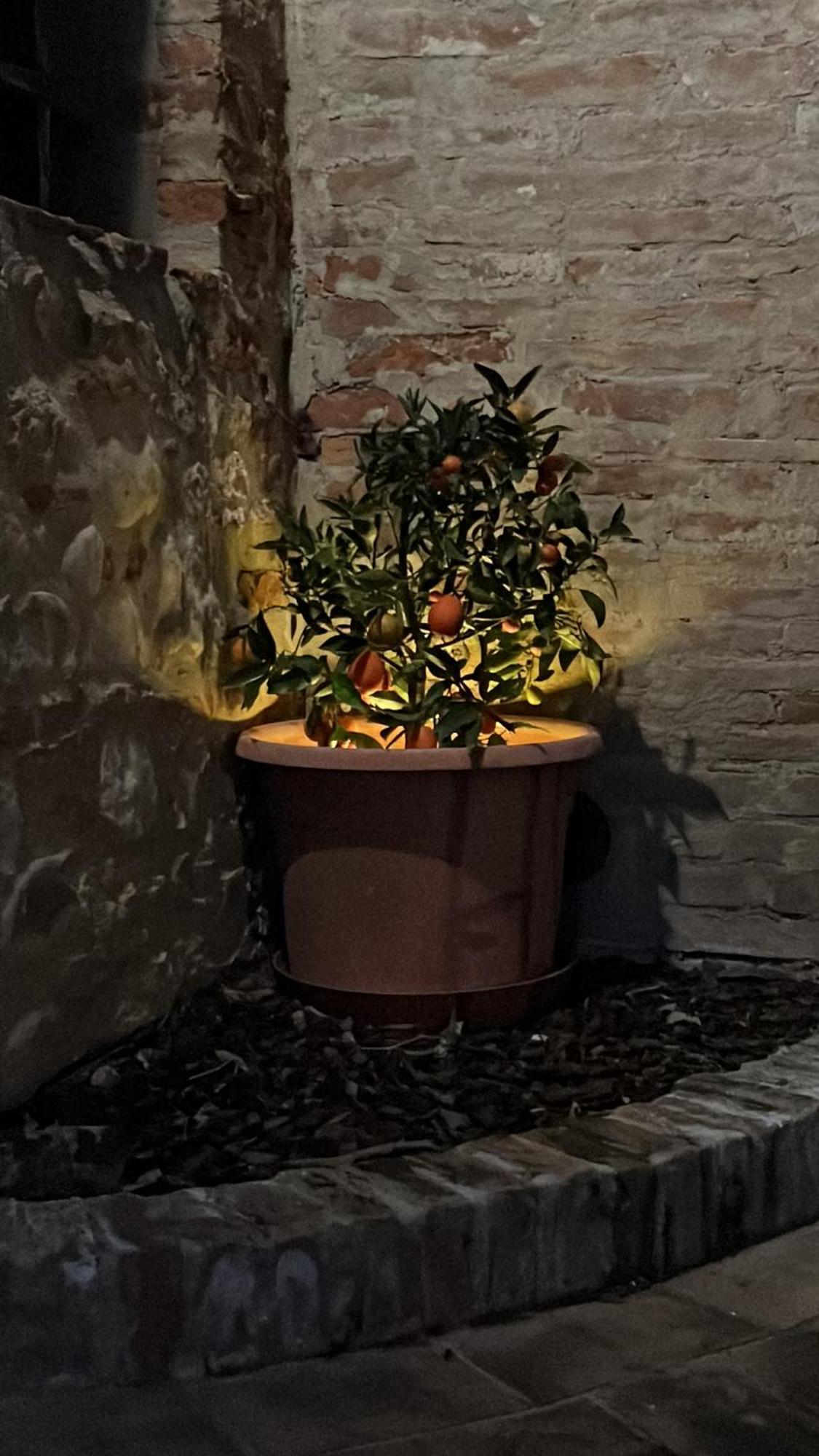 La Casa D'Ambra Villa Torre A Castello Kültér fotó