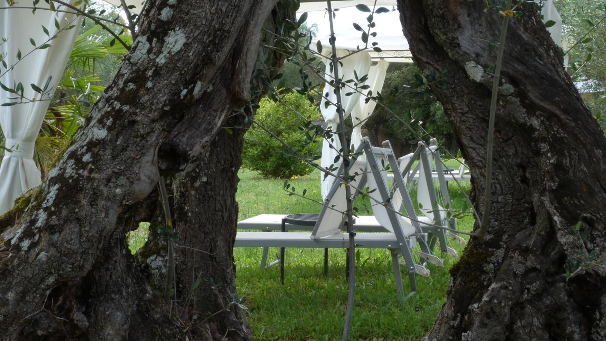 La Casa D'Ambra Villa Torre A Castello Kültér fotó